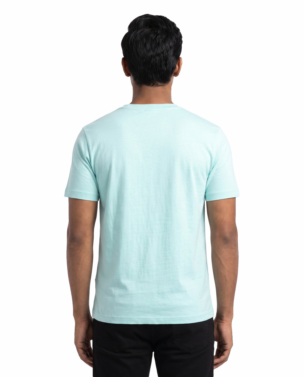 Back view of male model wearing GANESH – Devotional Men's Regular Fit T-Shirt in mint in a studio setting.
